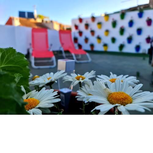 Hostal Funky by Arc House