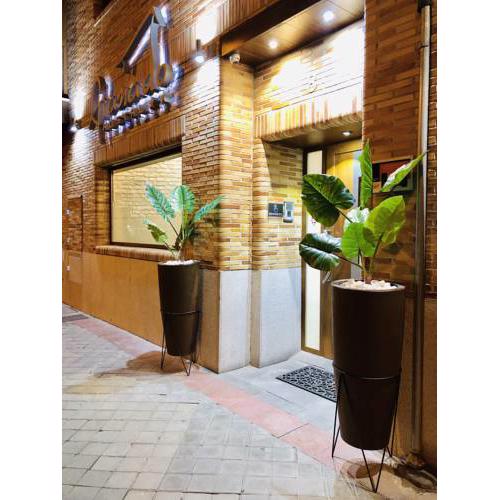 Hostal Granado