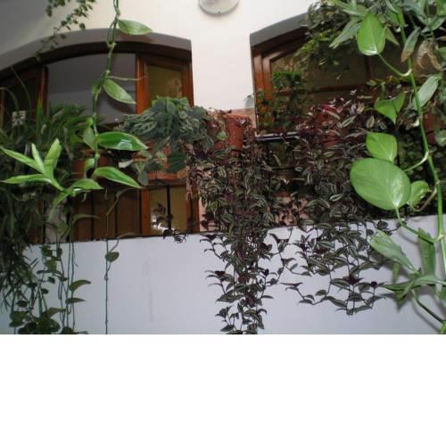 Hostal Maurin