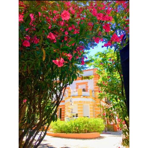 Hostal Olivos