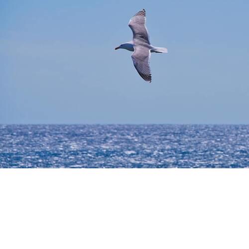 Hostal Pozo Gaviota