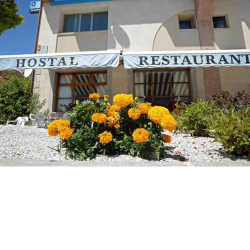 HOSTAL TANIS RIAÑO
