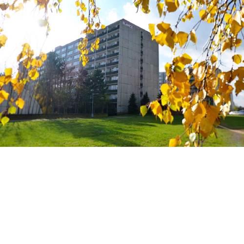 Hostel Blanice