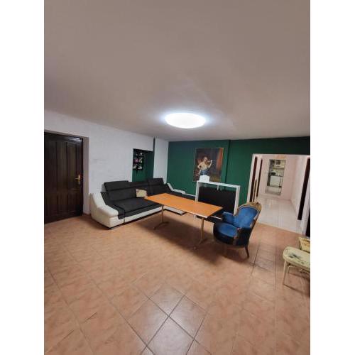 Hostel Hakuna Matata