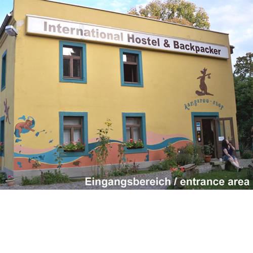 Hostel kangaroo-stop