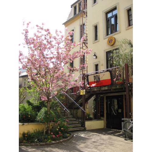 Hostel Louise 20