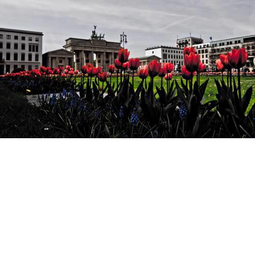 BNB Potsdamer Platz - Rooms & Apartments