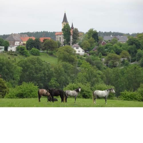 Hostinec u Janatů s ubytováním