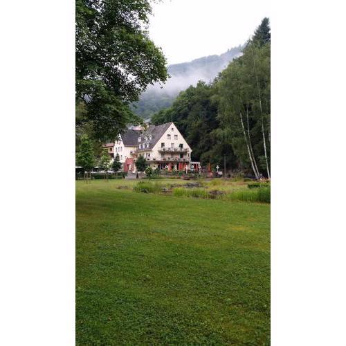 Hotel Alte Mühle