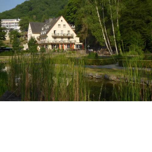 Hotel Alte Mühle