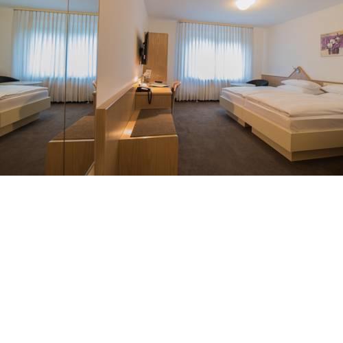 Hotel am Wasen