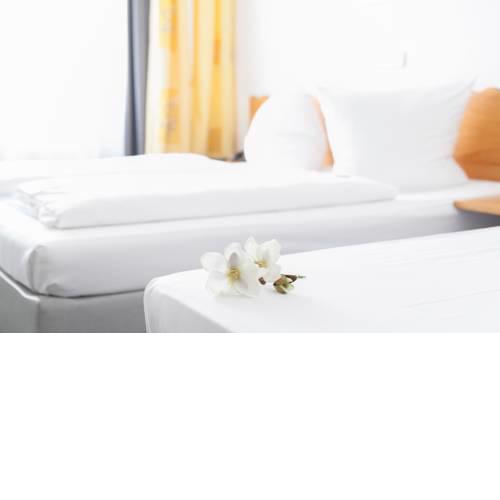 Hotel Ambiente