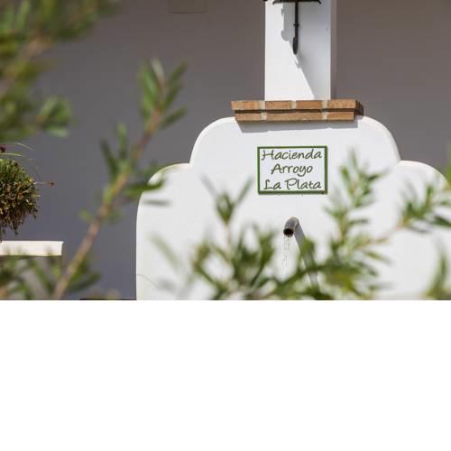 Hotel Arroyo la Plata by Bossh Hotels