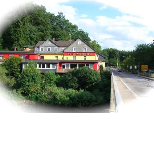 Hotel Auermühle