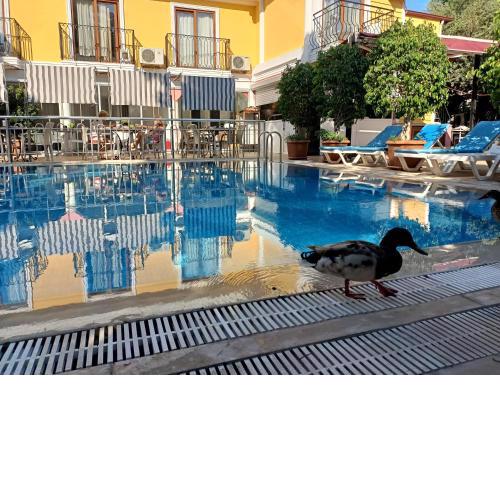 Hotel Barlas Fethiye