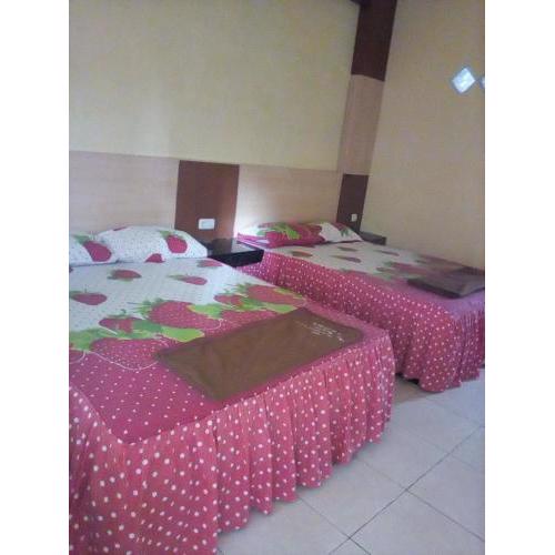 Hotel Borobudur Inn
