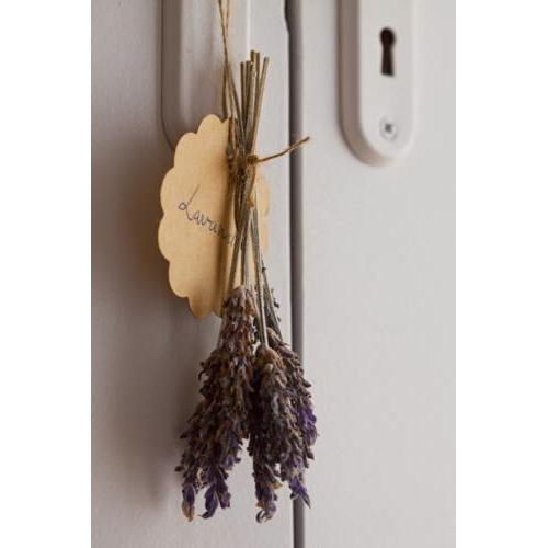 Hotel Boutique Carrasqueta Alicante-Xixona