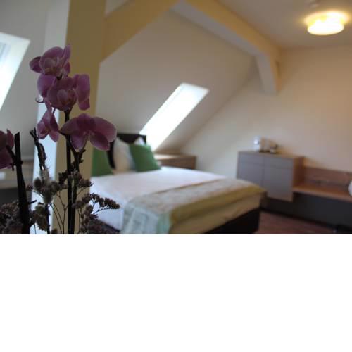Hotel Braun