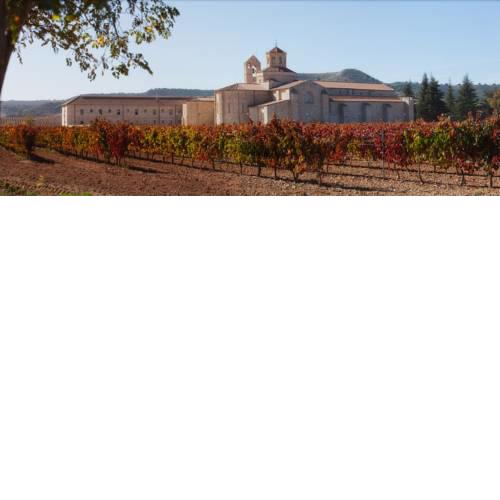 Hotel Castilla Termal Monasterio de Valbuena