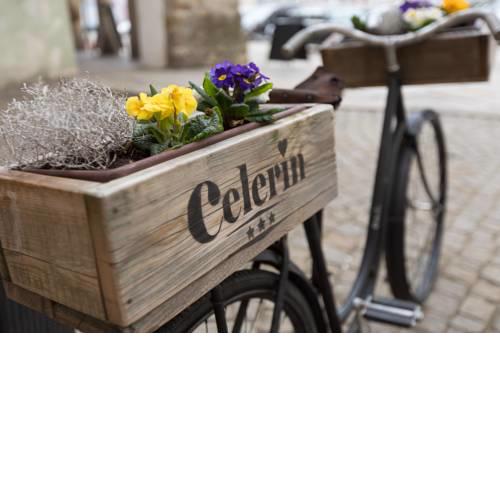 Hotel Celerin