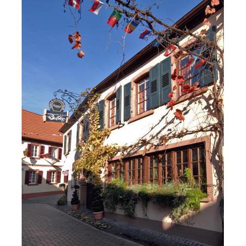 Hotel Dalberg