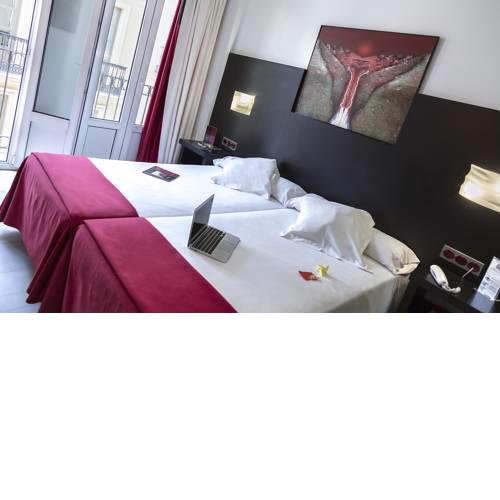 Hotel Del Pintor