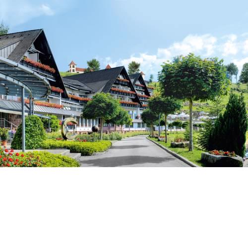 Hotel Dollenberg