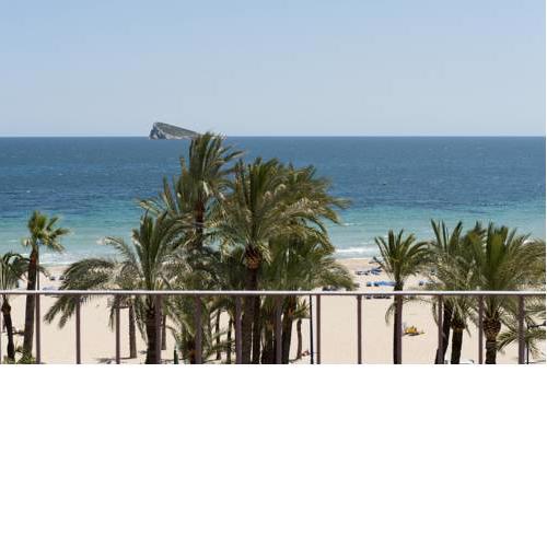 Hotel El Palmeral