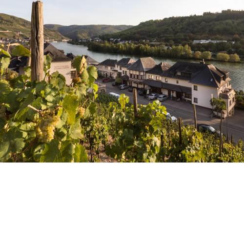 Hotel garni "Café im Hamm"