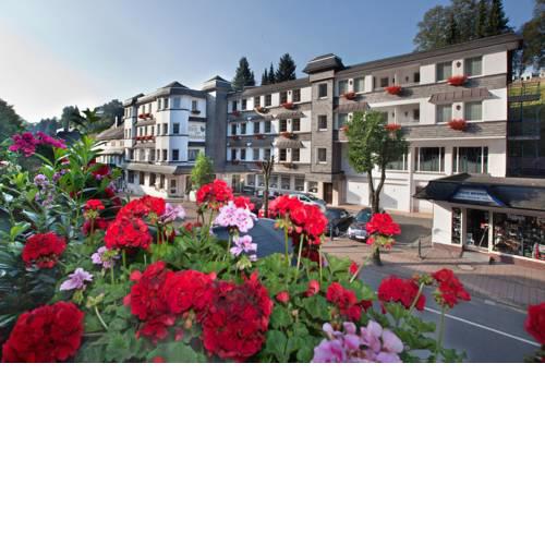 Hotel Garni Fürst von Waldeck