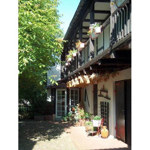 Hotel garni & Oma's Heuhotel 'Pension zur Galerie'