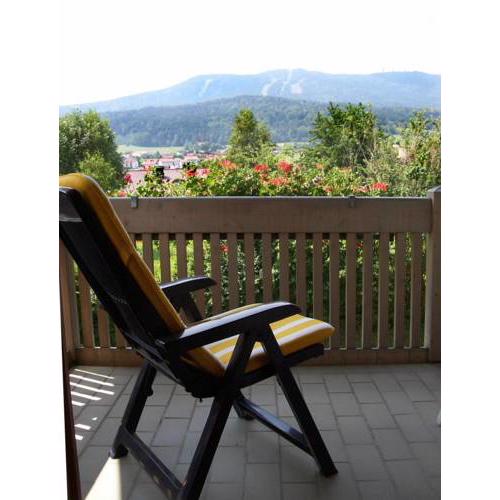 Hotel-Gasthof zum Bach
