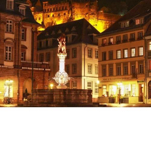 Hotel Goldener Falke