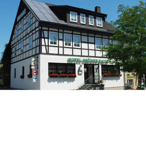 Hotel Grüner Baum