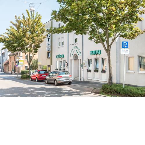 Hotel Grüner Baum
