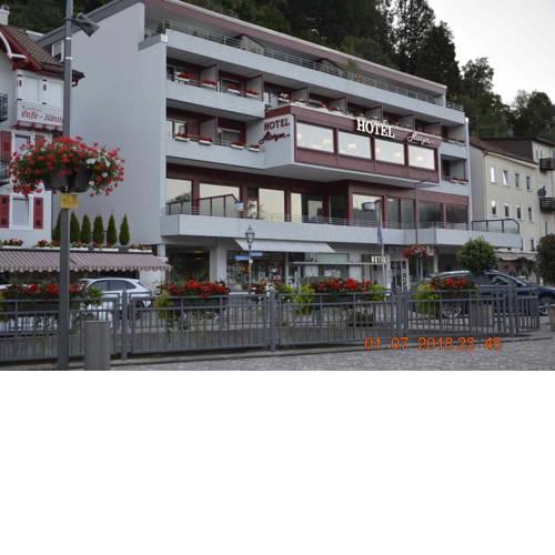 Hotel Harzer am Kurpark