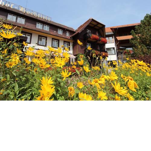 Hotel Hochfirst
