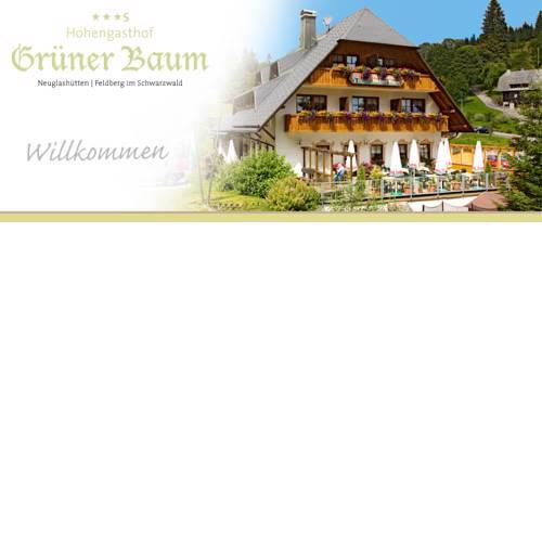 Hotel & Restaurant Grüner Baum - Die Grüne Oase Am Feldberg