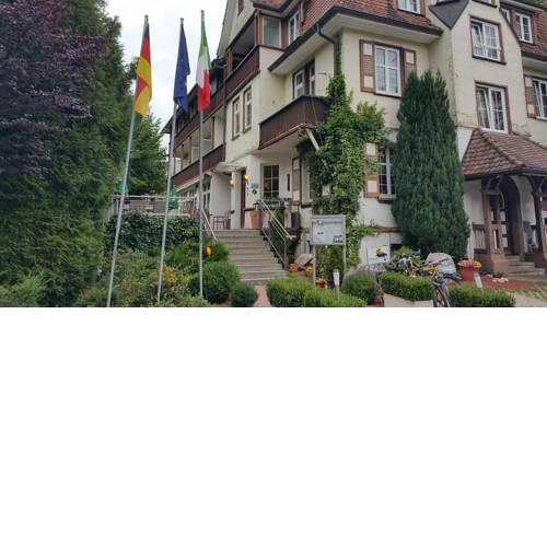 Hotel Il David