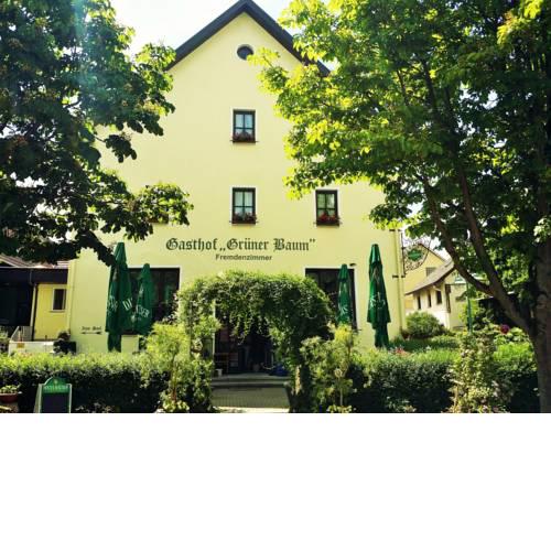Hotel-Landgasthof Grüner Baum - Dittigheim