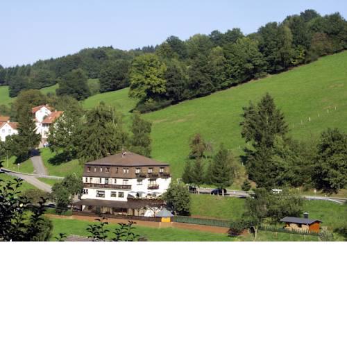 Hotel Landgasthof Grüner Baum