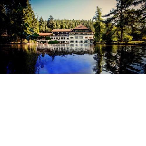 Hotel Langenwaldsee