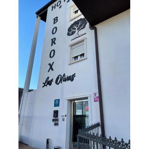 HOTEL LAS OLIVAS