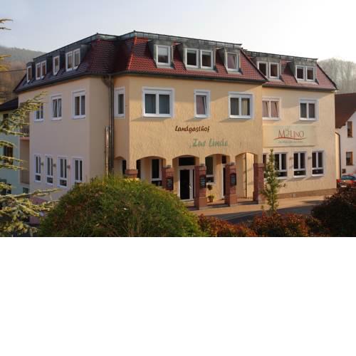 Hotel Linde Pfalz