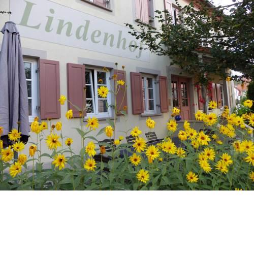 Hotel Lindenhof im Steigerwald
