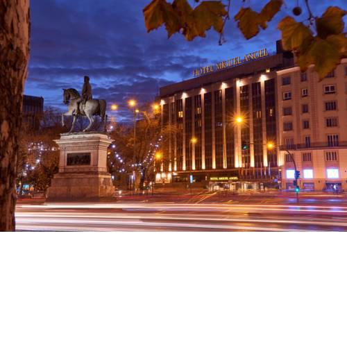 Hotel Miguel Angel