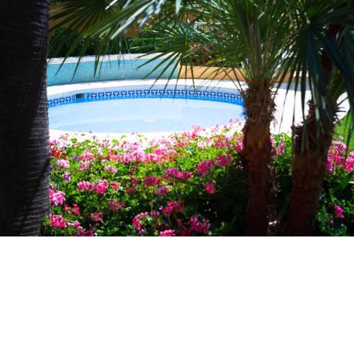 Hotel Monarque Torreblanca