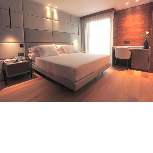 Hotel MyPalace León