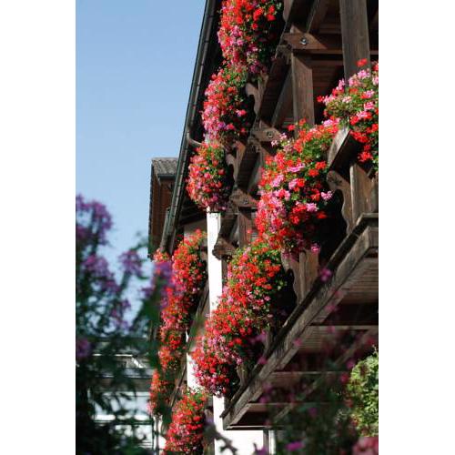 Hotel Neuer am See
