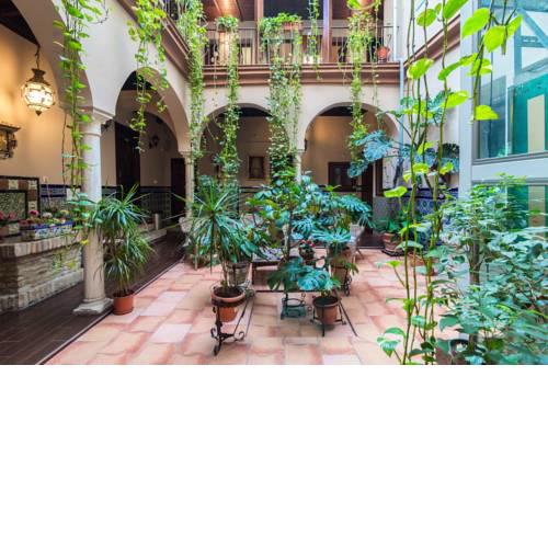 Hotel Patio de las Cruces